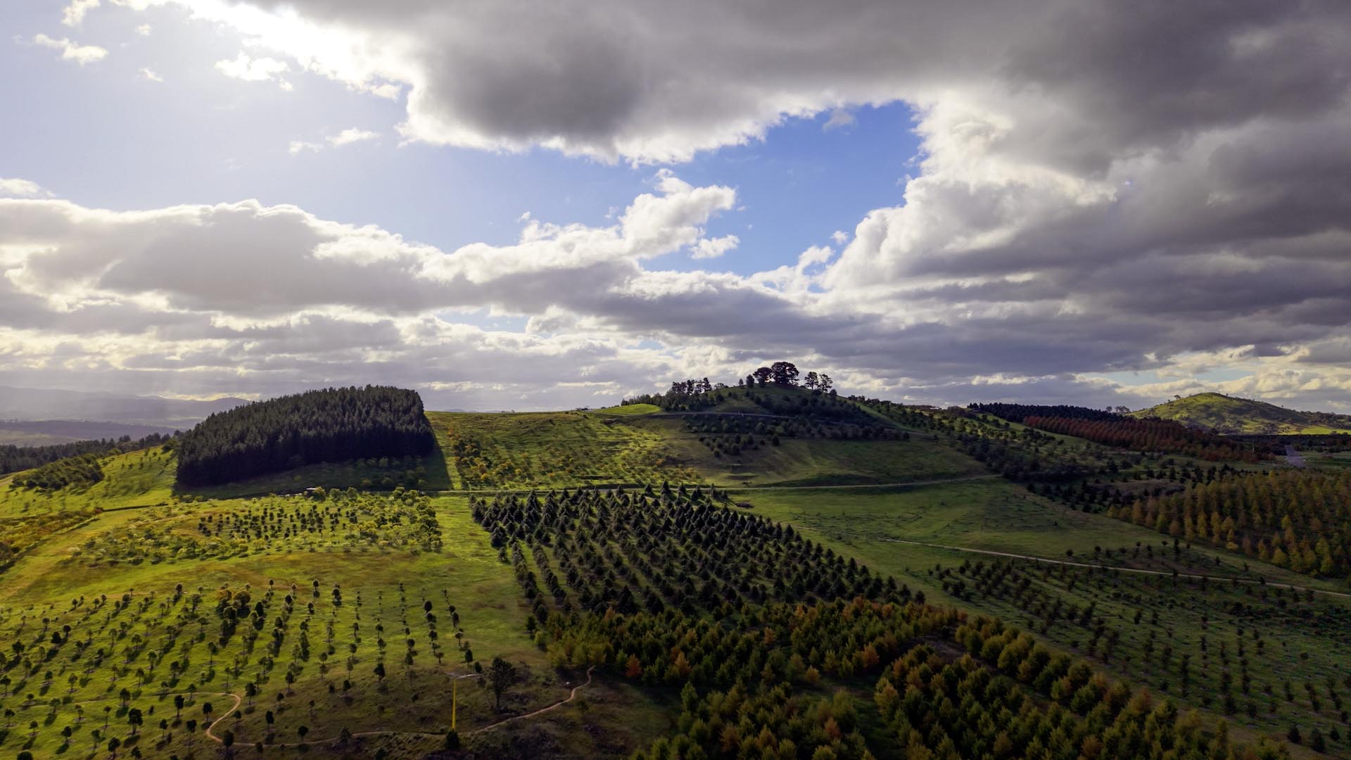 Dairy Farmer's Hill